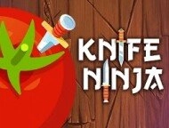 Knife Shadow Ninja 