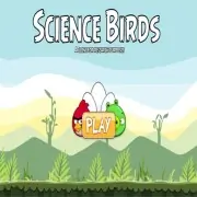 Science Birds