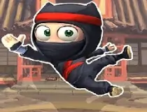 Super Ninja Adventure