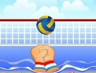 Volley Ball